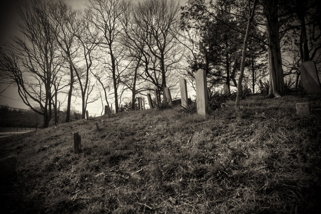 carll cemetery 010_tonemapped sepia