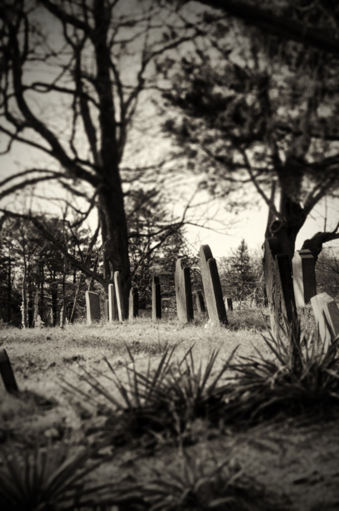 carll cemetery 034_tonemapped sepia